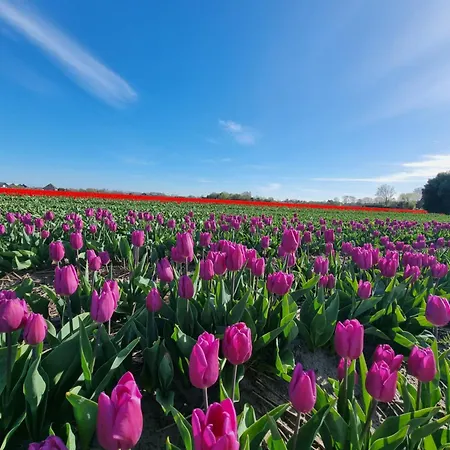 Apartamento Noordzee Egmond aan Zee