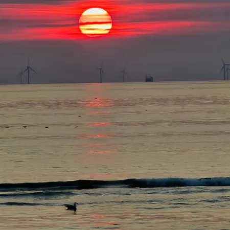 Noordzee Apartamento
