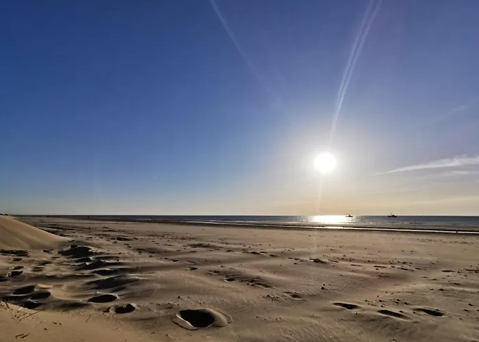 Noordzee Apartmán *