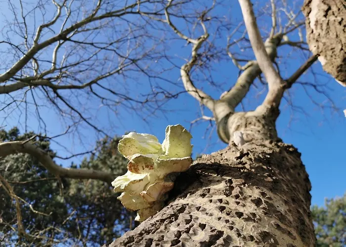 Apartmán Noordzee *