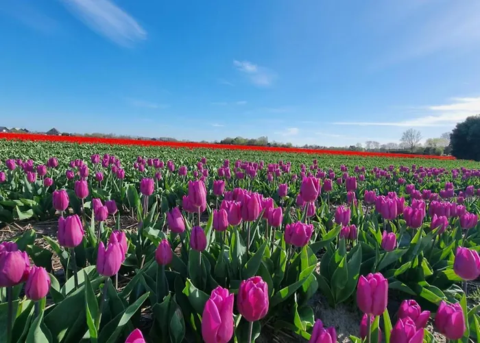 Apartmán Noordzee Egmond aan Zee
